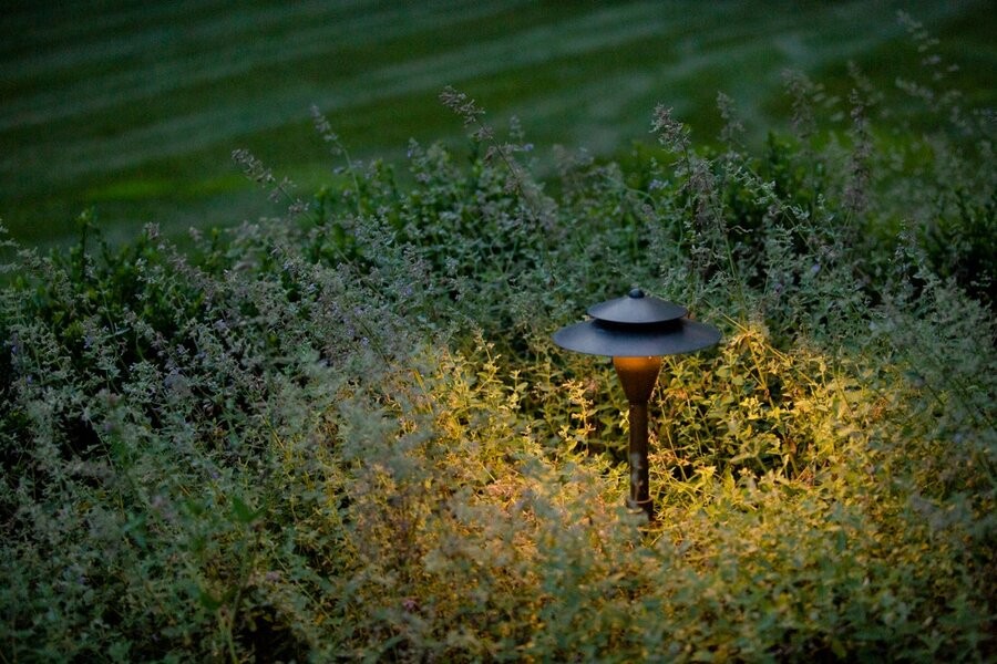 A Coastal Source outdoor lighting fixture among an empty space of grass in a backyard.