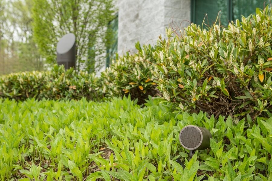 Two different-sized Coastal Source speakers among foliage in a backyard.