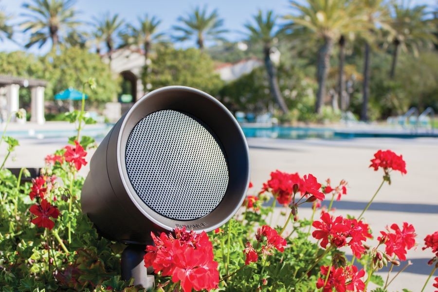 A Sonance landscape speaker nestled into flowers in a backyard with a pool. 